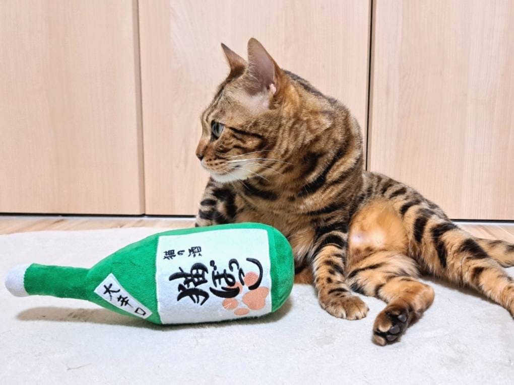 ねこのきもちWEB掲載！リターン品の「酒瓶型キッカー」を作っている犬