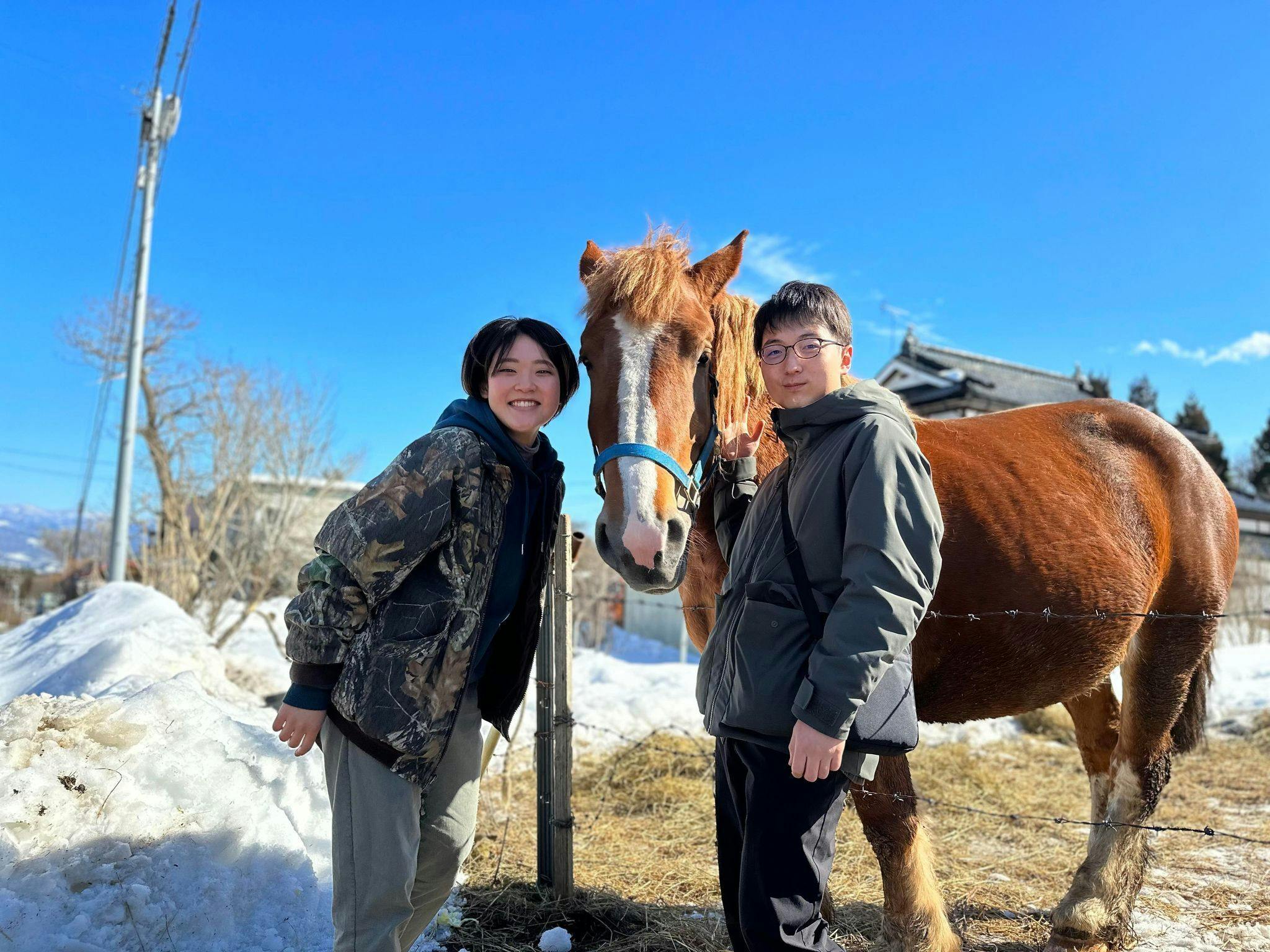 今年の『チャグチャグ馬コ共同馬主カード』のデザイン制作について