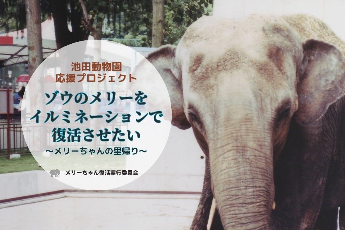 池田動物園 チケット - 動物園