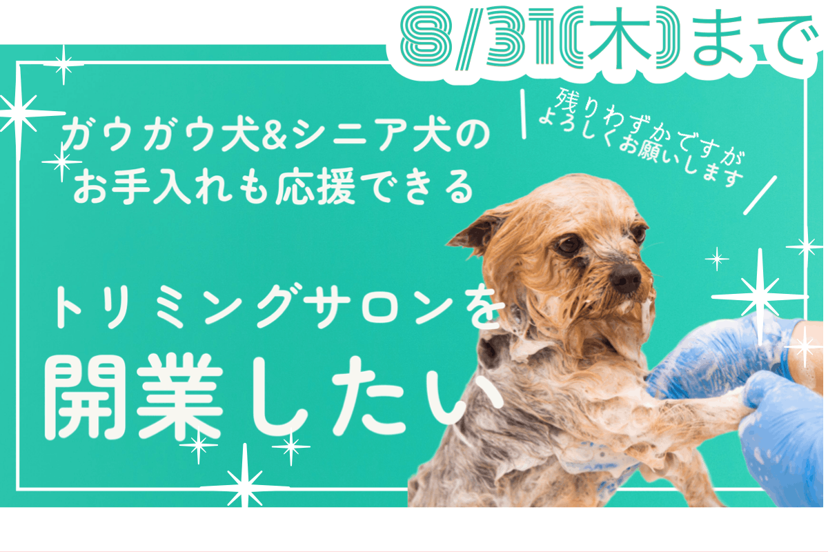 シニアさんやガウガウ犬も受け入れ可能なトリミングサロンを開業したい