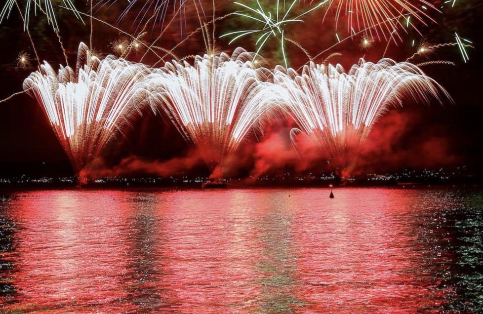 2024琵琶湖花火大会チケット2枚 【公式通販】 2024琵琶湖花火大会チケット2枚 【公式通販】