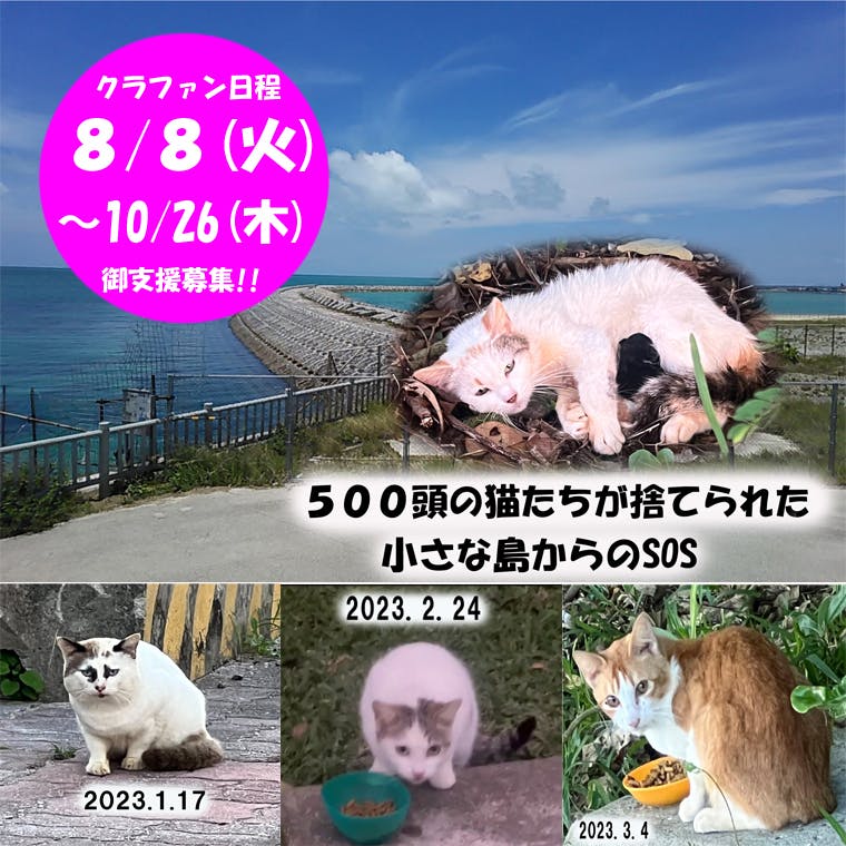 じゃれねこ『8月☆17 和柄×天然石♡8匹』現品のみ★ じゃれねこ『8月☆17 和柄×天然石♡8匹』現品のみ☆