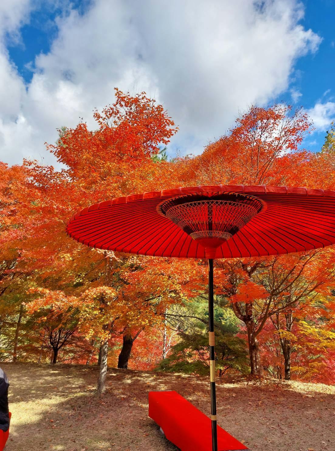 ごしたいです！ - CAMPFIRE (キャンプファイヤー)