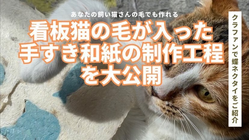 他にはない和紙】猫の毛が入った手すき和紙 - CAMPFIRE (キャンプ