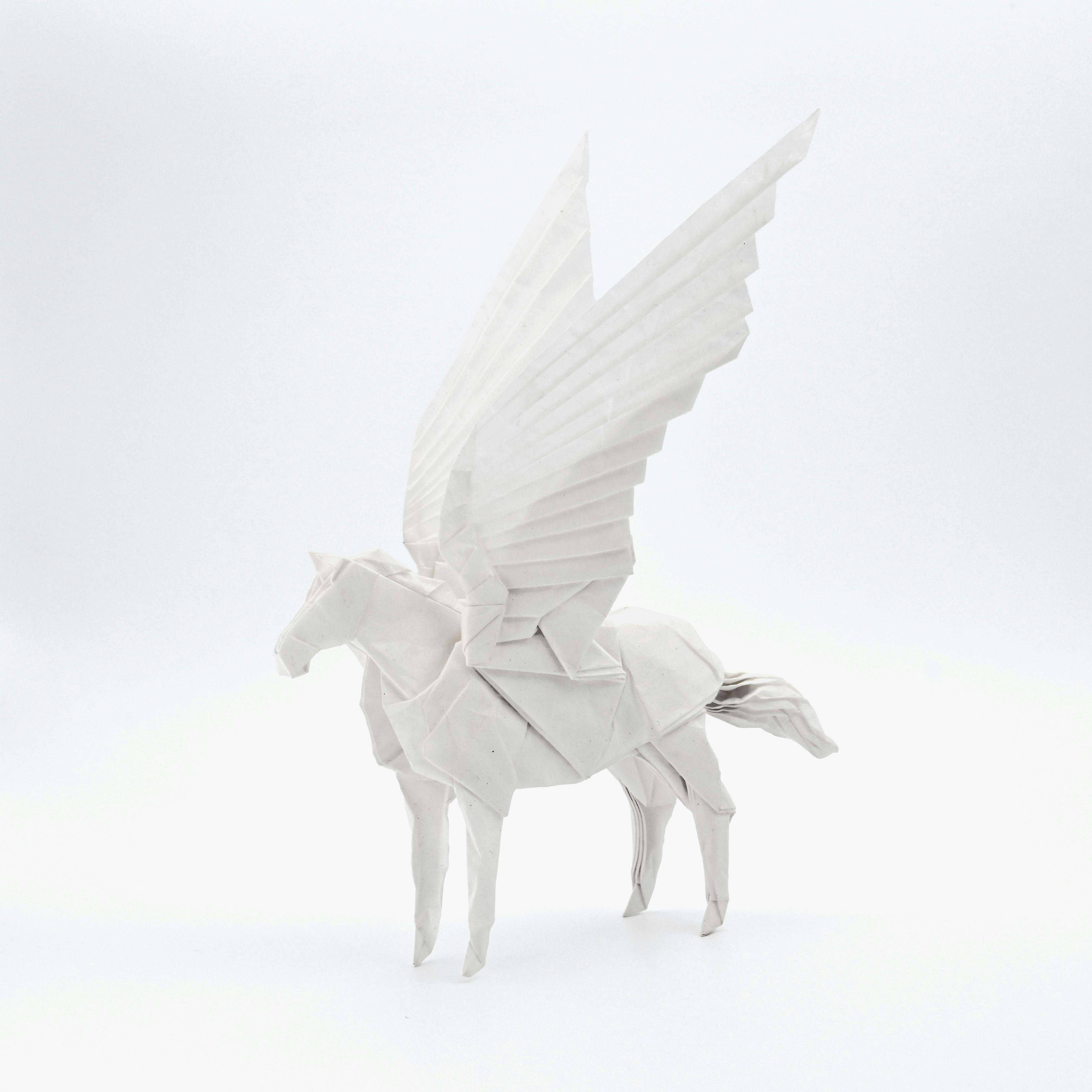 時折2024 作品紹介】12月：ペガサス - CAMPFIRE (キャンプファイヤー)