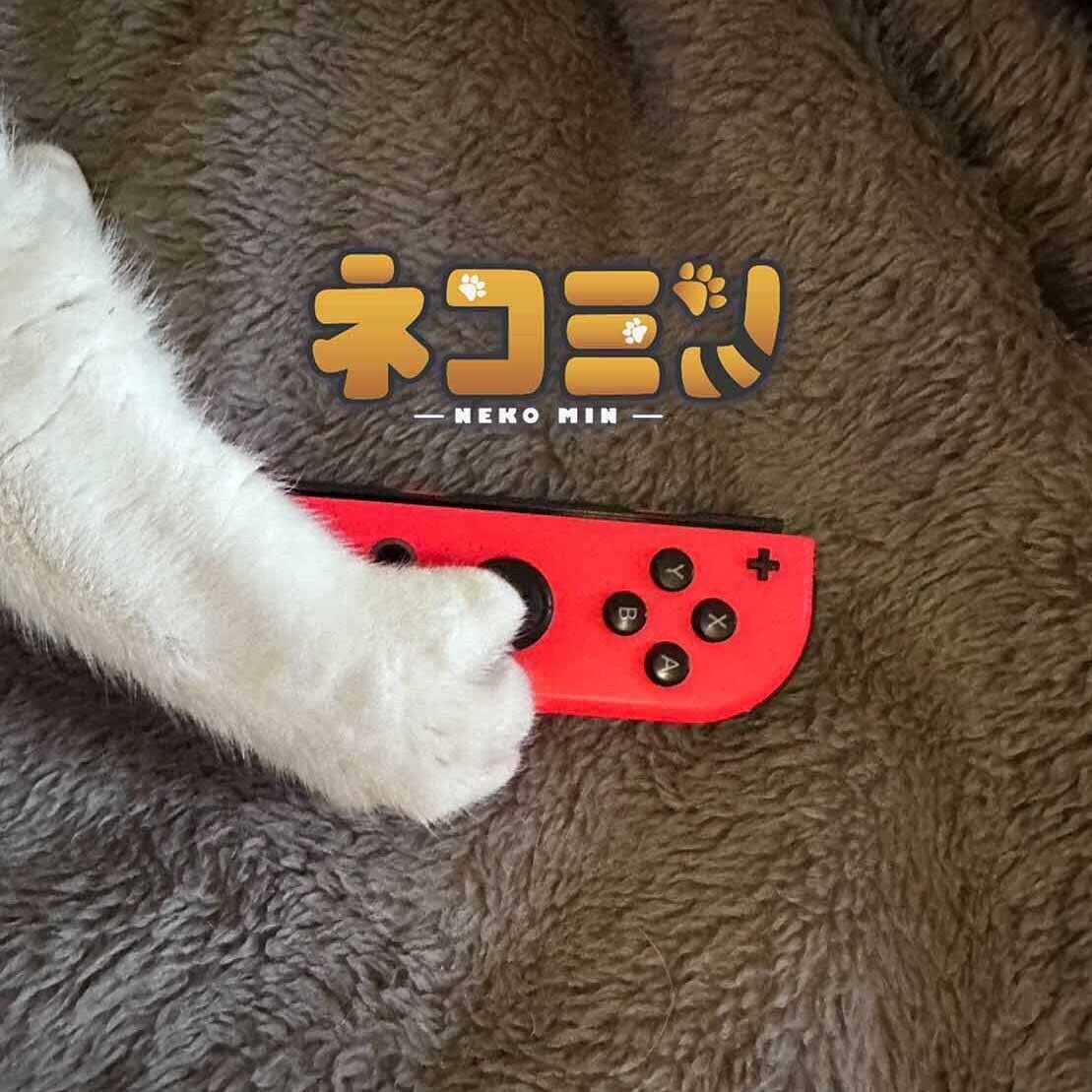 Nintendo Switch向けパズルゲーム「ネコミン」 絶賛発売中 - CAMPFIRE