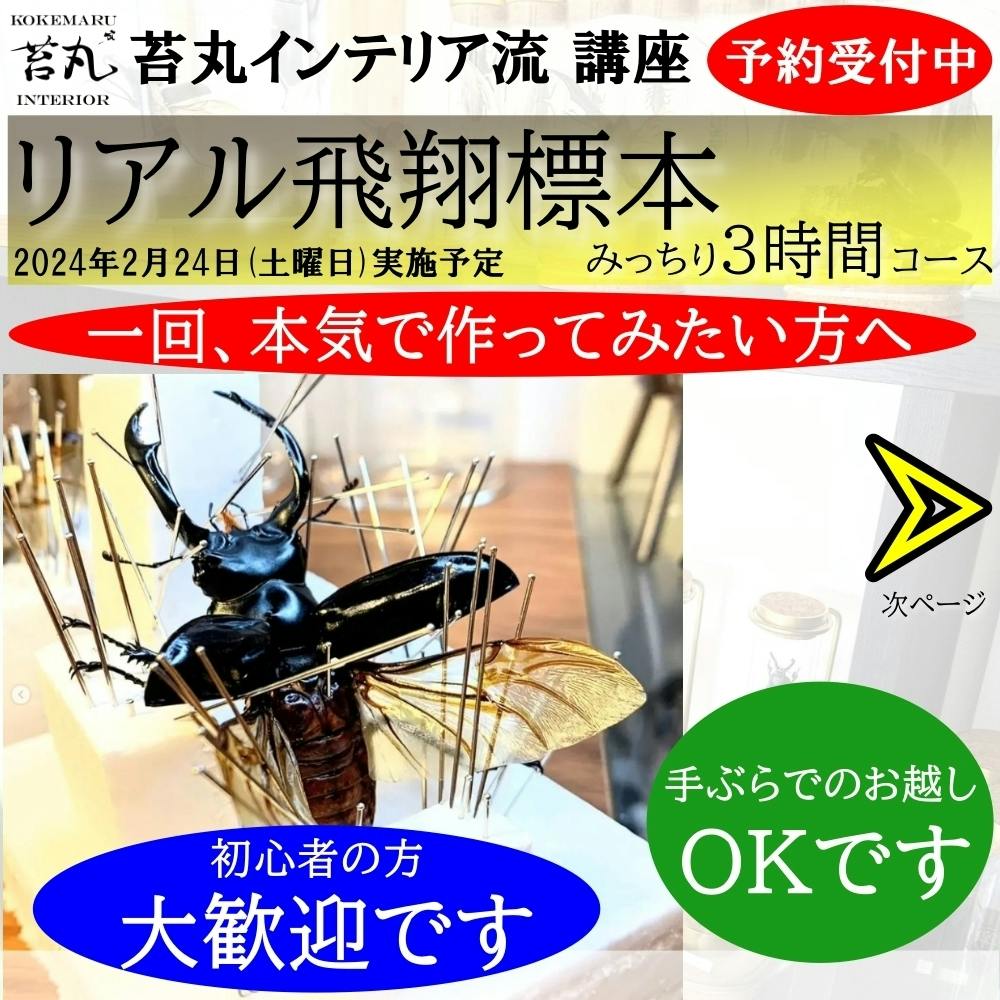いたずら教室 野球の虫 いたずら教室 野球の虫