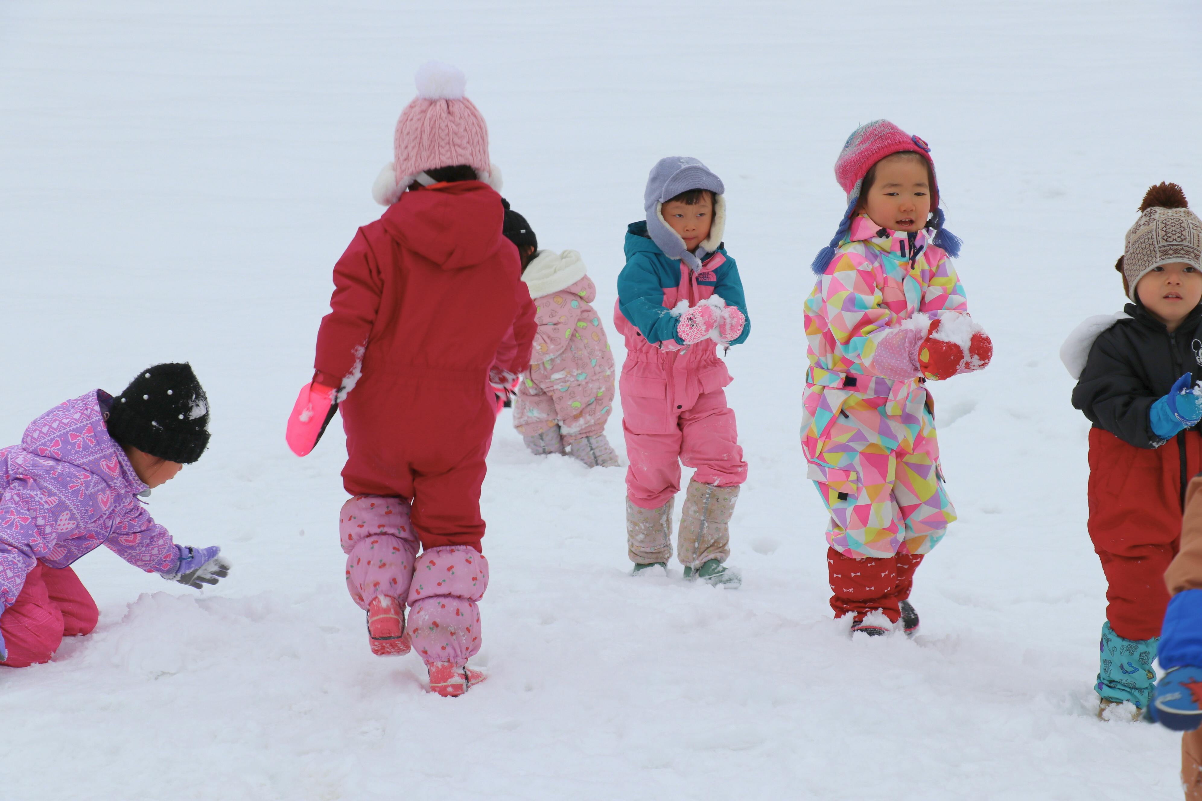雪の降る朝の赤