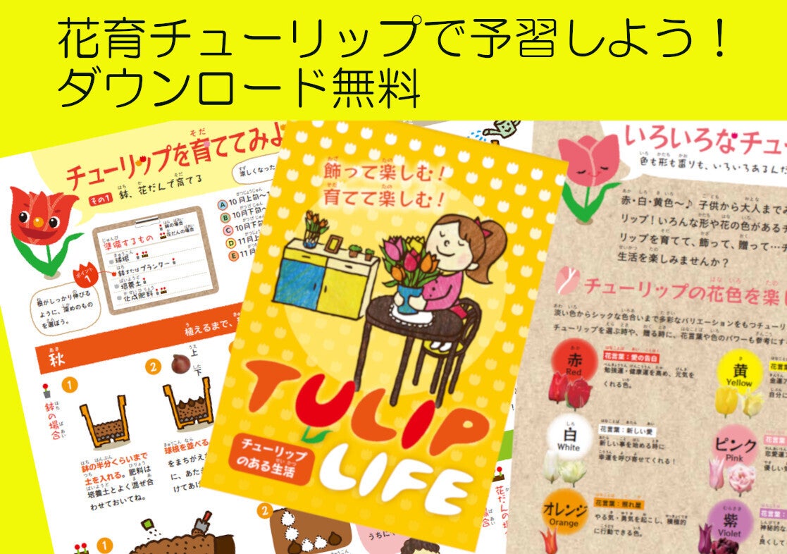 予習編】花育テキストでチューリップを勉強しよう！ - CAMPFIRE