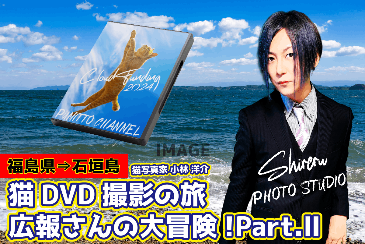 広報さんの大冒険！part.2！猫DVD撮影の旅！ ～私を石垣島へ連れてって！～ - CAMPFIRE (キャンプファイヤー)