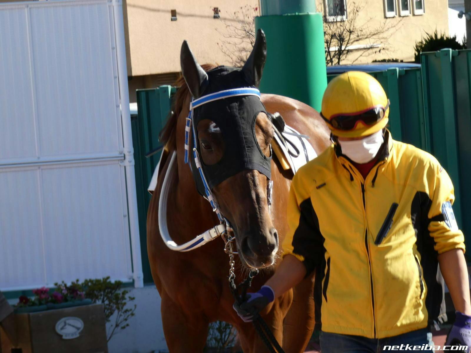馬主制作 騎手サイン入り バッグ 武幸四郎の躍進：重賞での