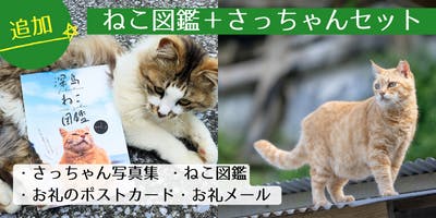 さっちゃん写真集追加しました！ - CAMPFIRE (キャンプファイヤー)