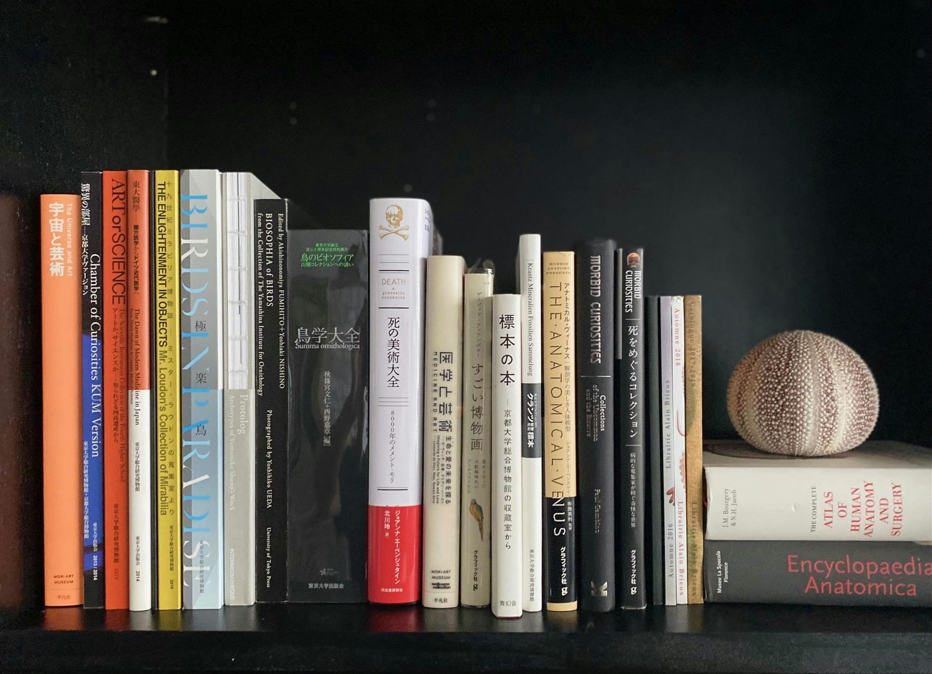 驚異の部屋 Chamber of Curiosities KUM Version 驚異の部屋 Chamber