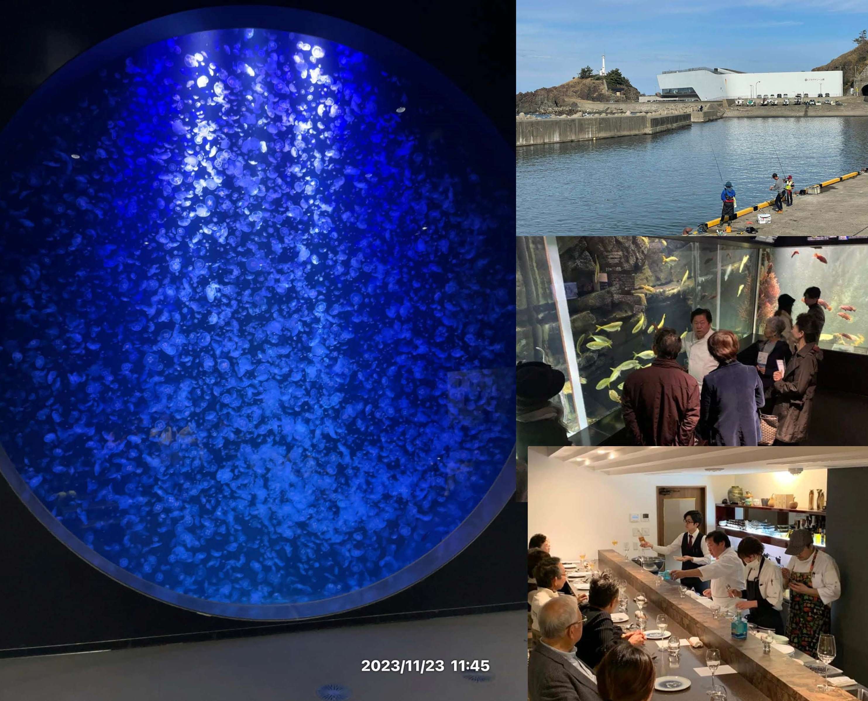世界一のクラゲ水族館（加茂水族館）in 鶴岡市（庄内） - CAMPFIRE