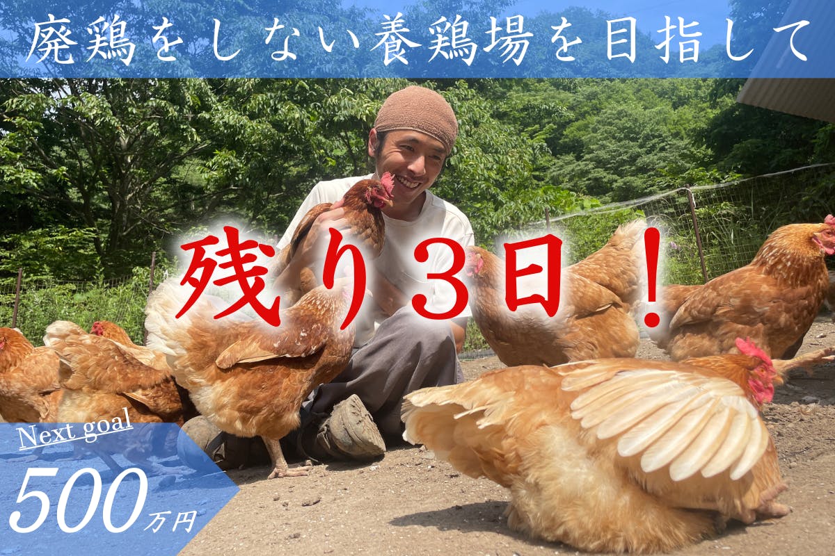 ラストスパート】ネクストゴールまであと66万円！残り3日間です