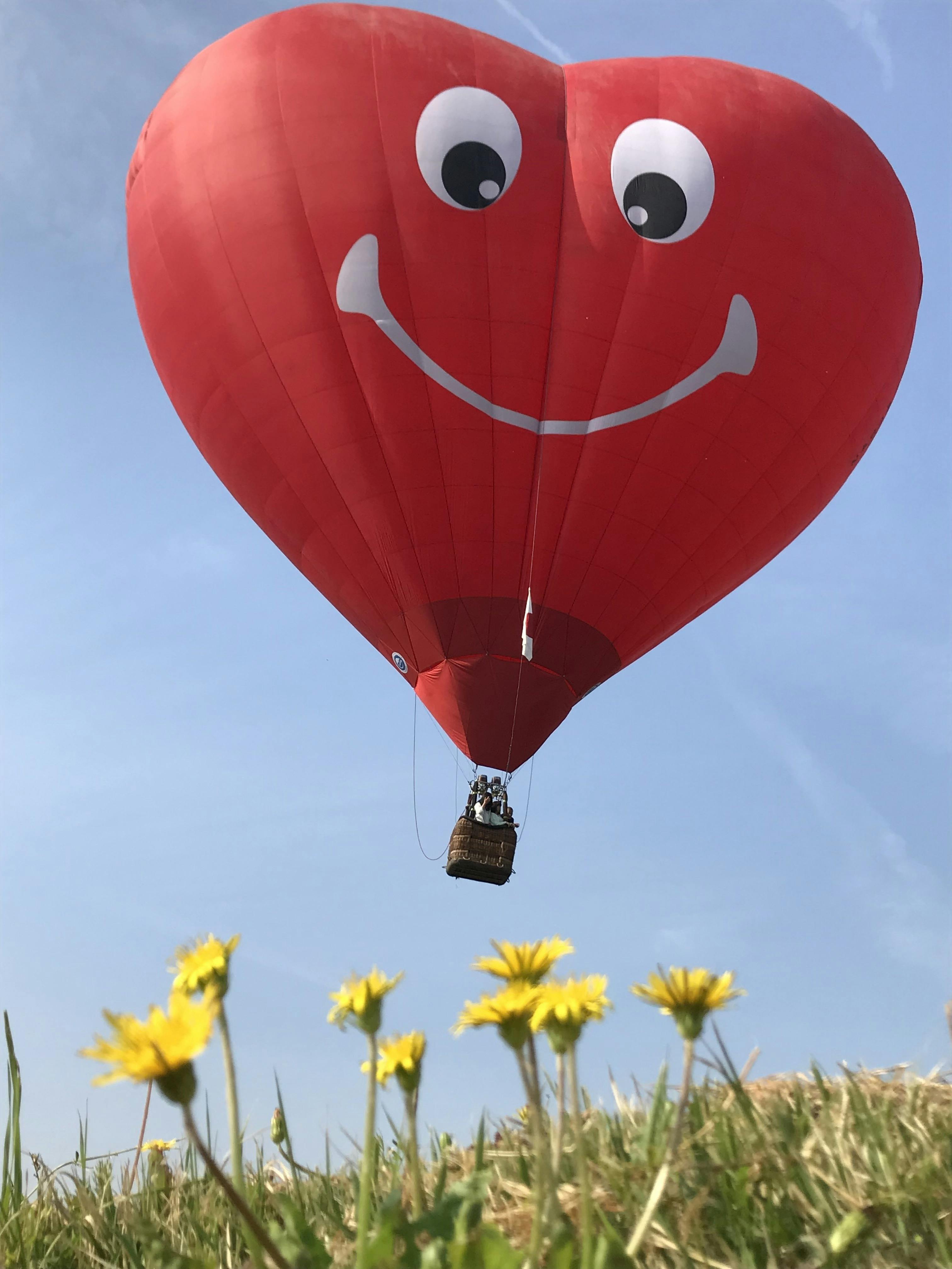 エントリーナンバー1】当日参加シェイプドバルーン発表！！ - CAMPFIRE