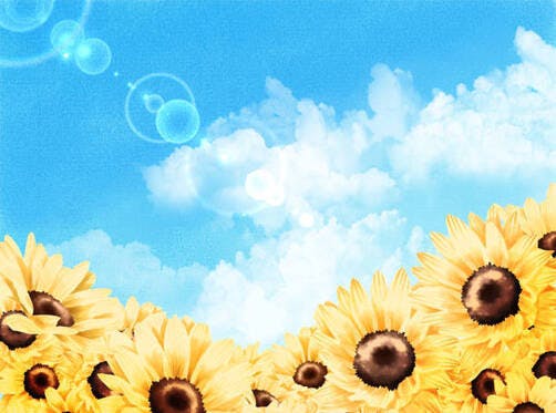 medium_E382B5E383B3E38395E383A