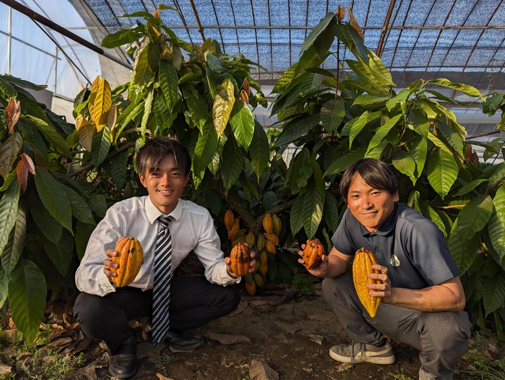 新たな連携スタート！】県と5か年のカカオ試験栽培開始 - CAMPFIRE