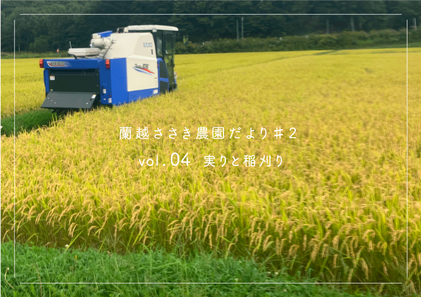 茨城県 茨城町農地 1200坪 水田