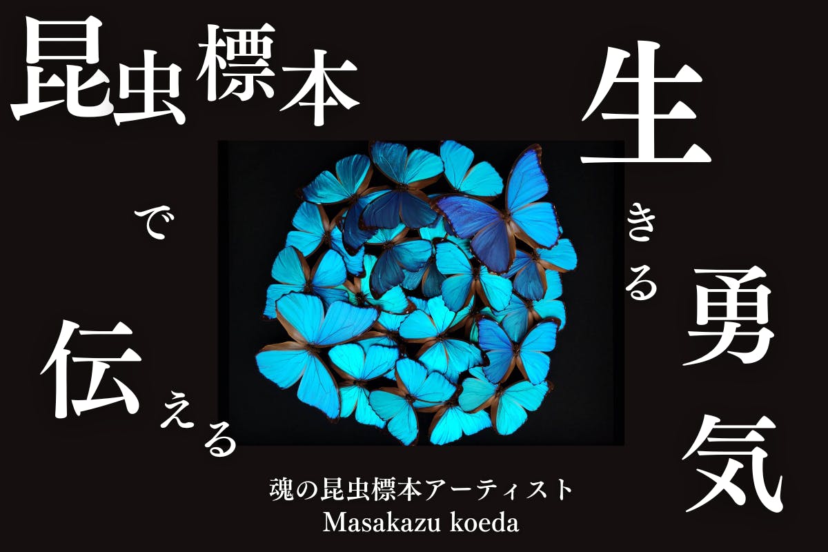 昆虫標本アートを通して伝える「生きる勇気」 - CAMPFIRE (キャンプ