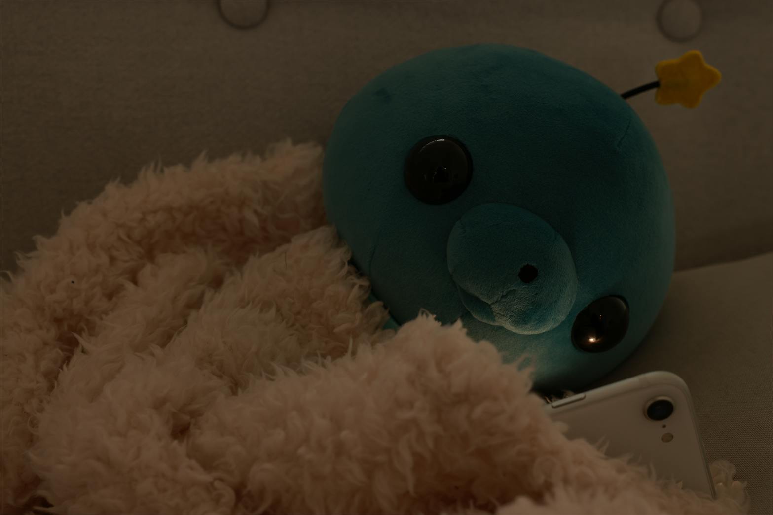 終了間近】プロジェクトは9月23日 23:59まで! - CAMPFIRE (キャンプ 終了間近】プロジェクトは9月23日 23:59まで! - CAMPFIRE (キャンプ