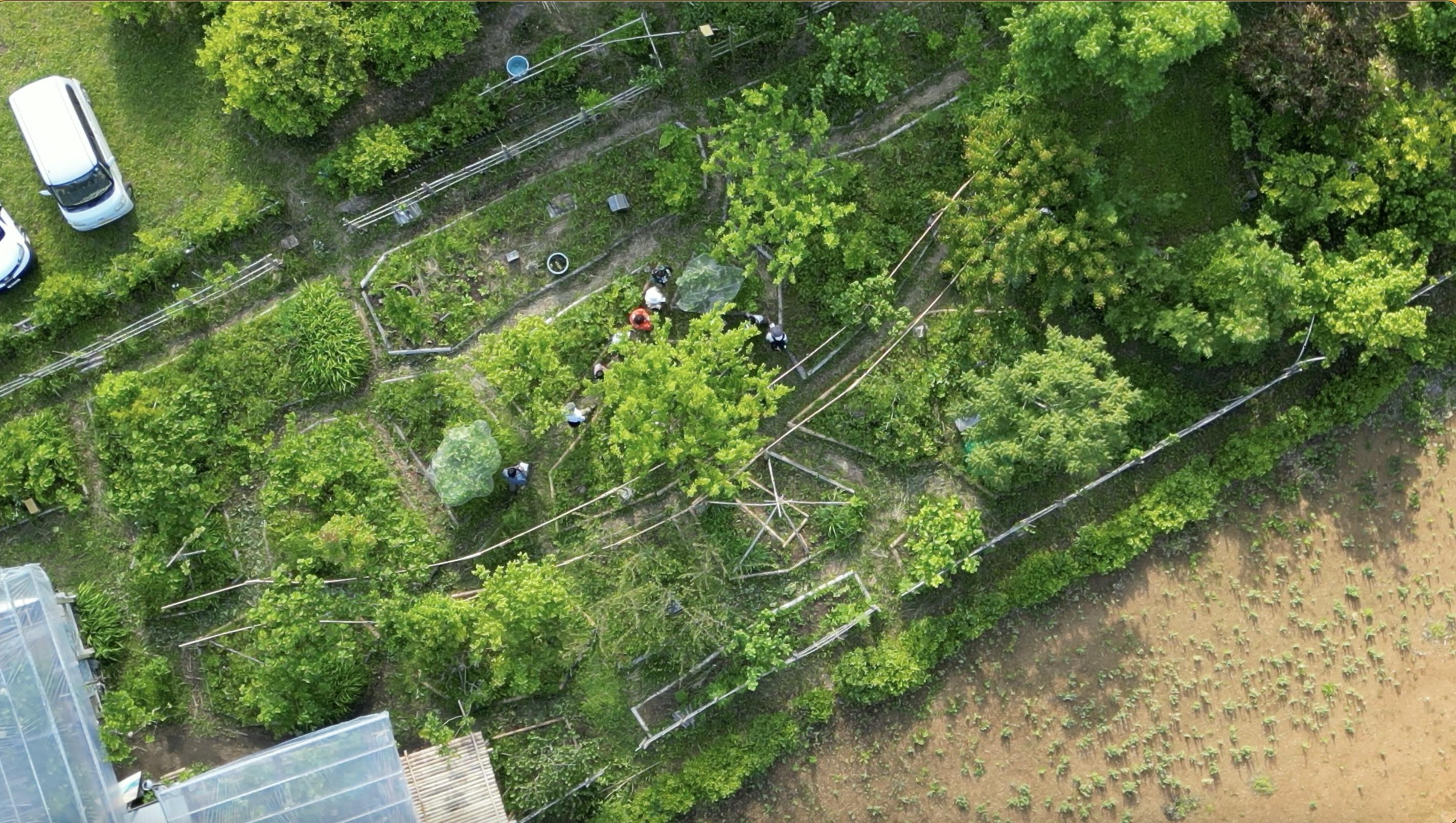 すべてのいきものたちのための食べられる森 フォレストガーデン