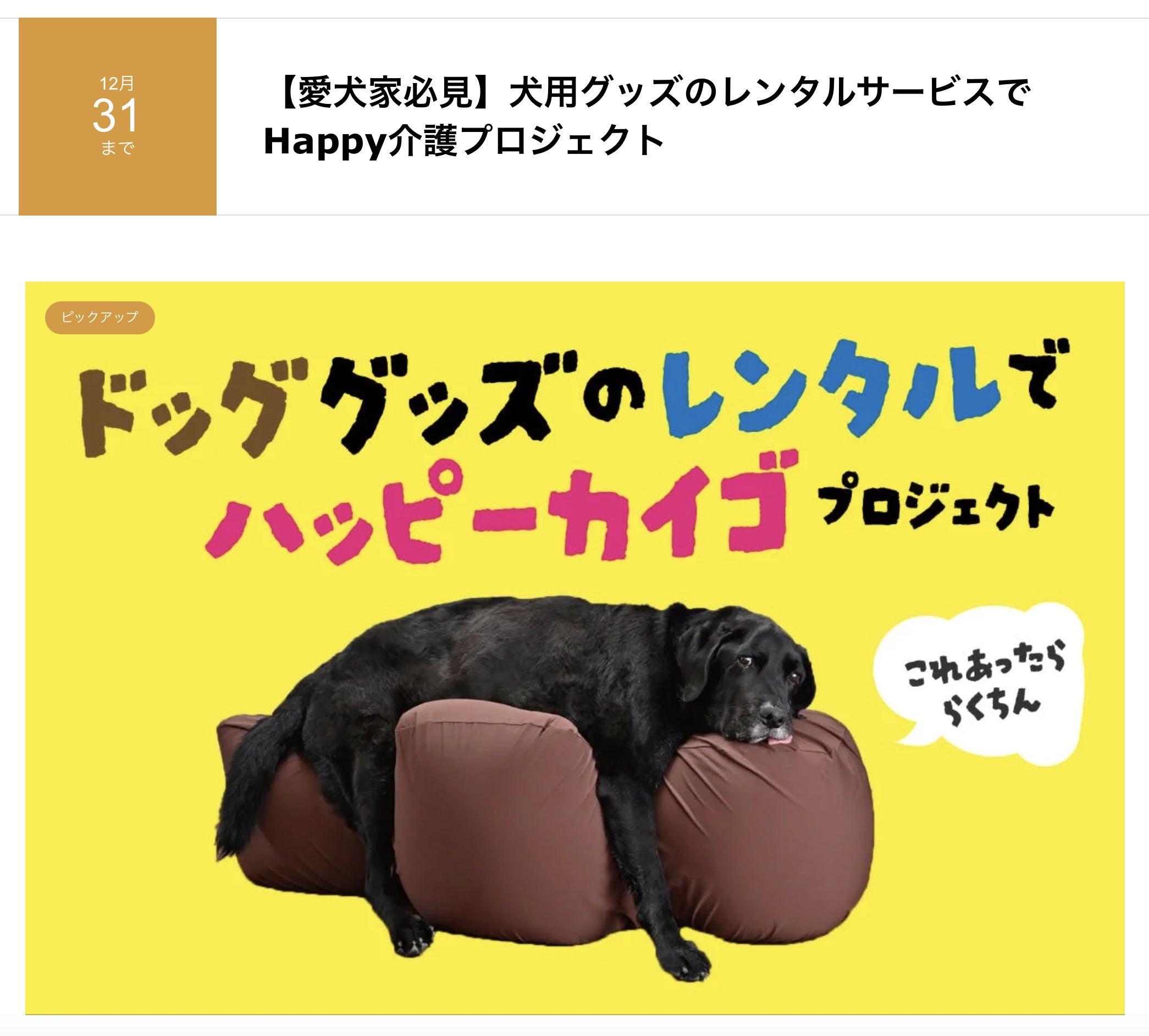 愛犬家必見】犬用グッズのレンタルサービスでHappy介護プロジェクト