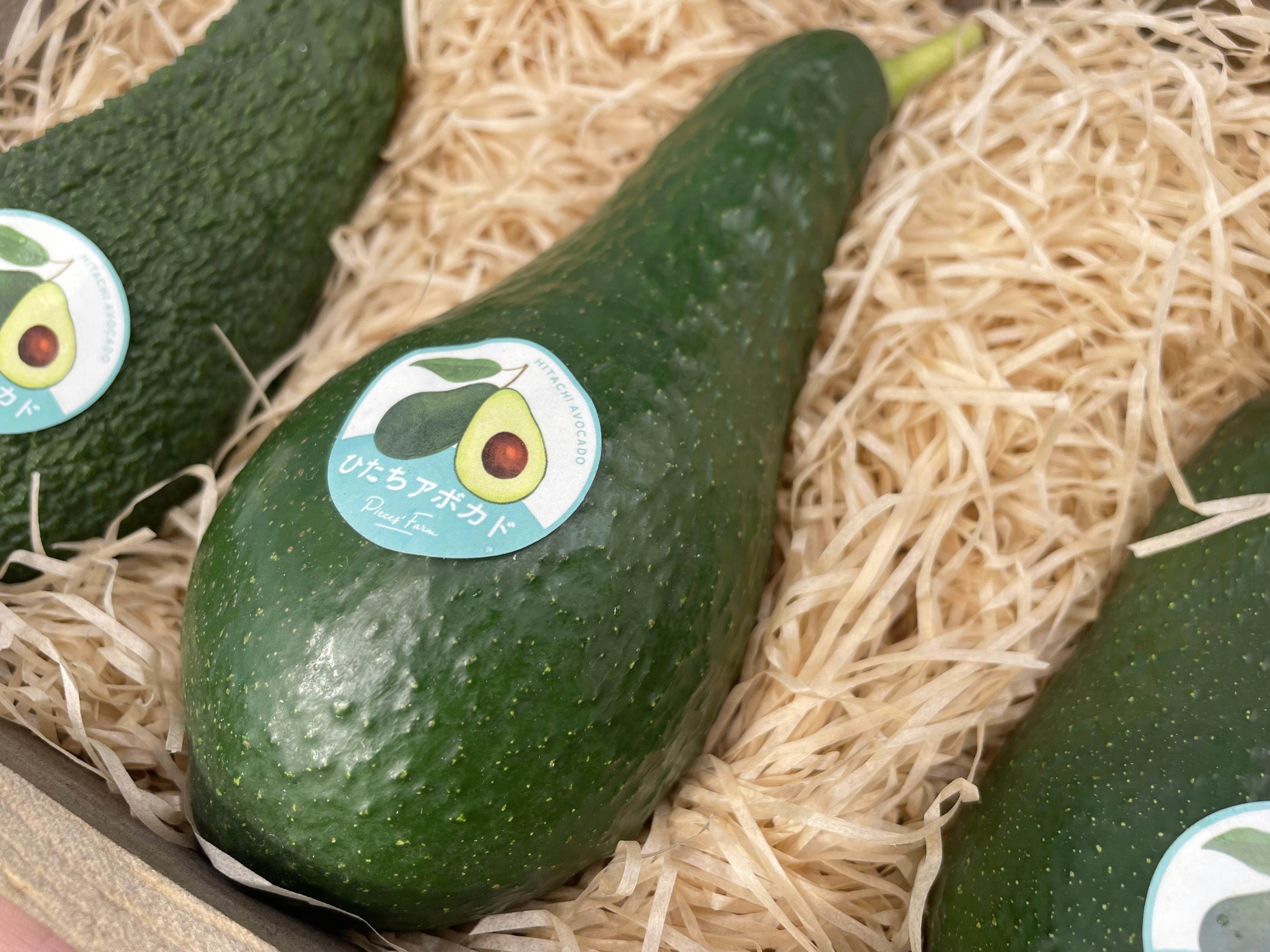 IMG_3463.jpeg?ixlib=rails-2.1.