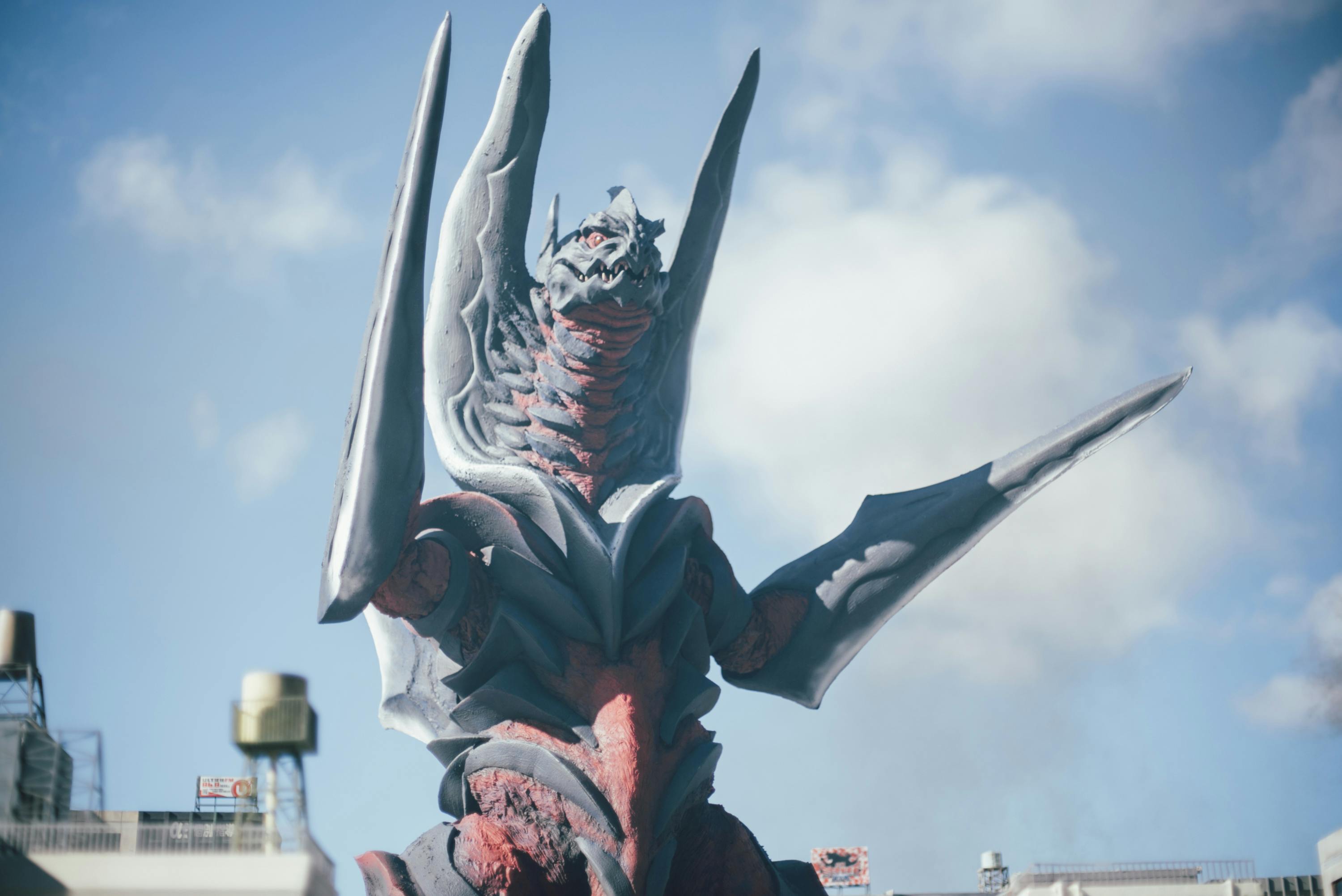 52-_DSC3991.jpg?ixlib=rails-2.