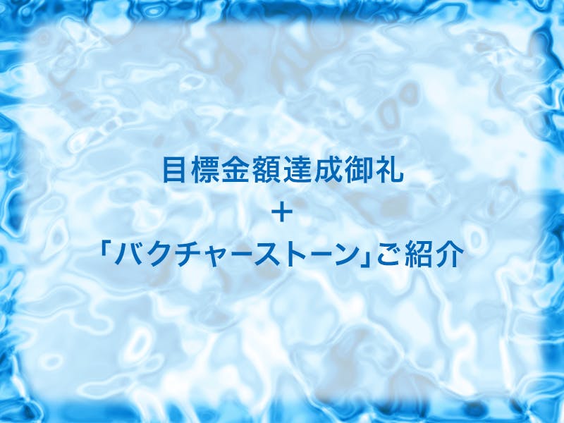 990円 早割クーポン トイレ用 バクチャーストーン