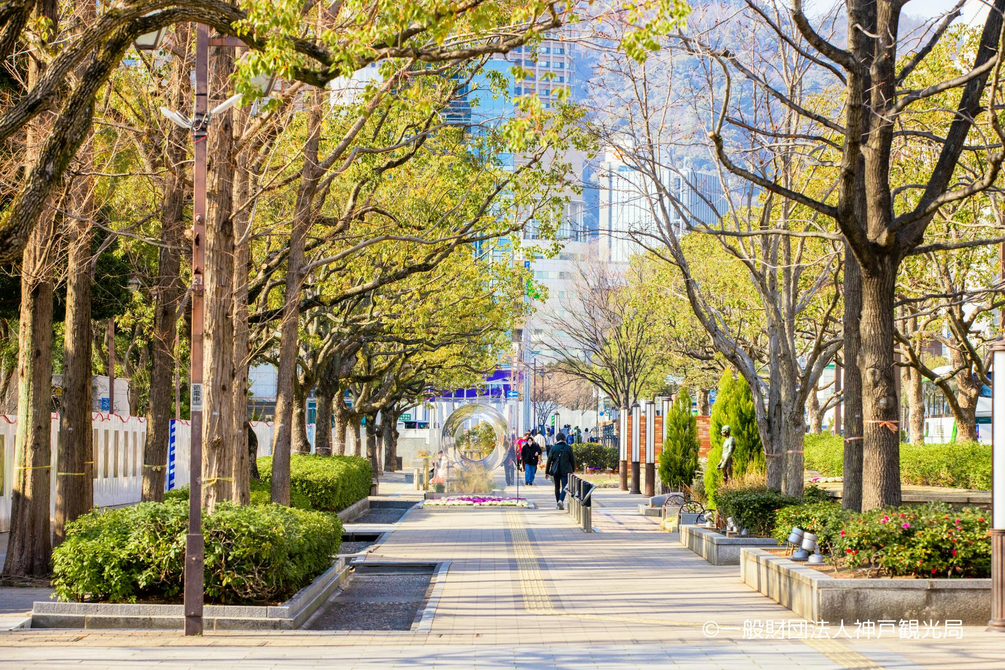 属夜鎮陽 / 西明石俗物園×東生駒珍物園 社会福祉法人みやび・ソフィア保育園 - 社会福祉法人みやびが