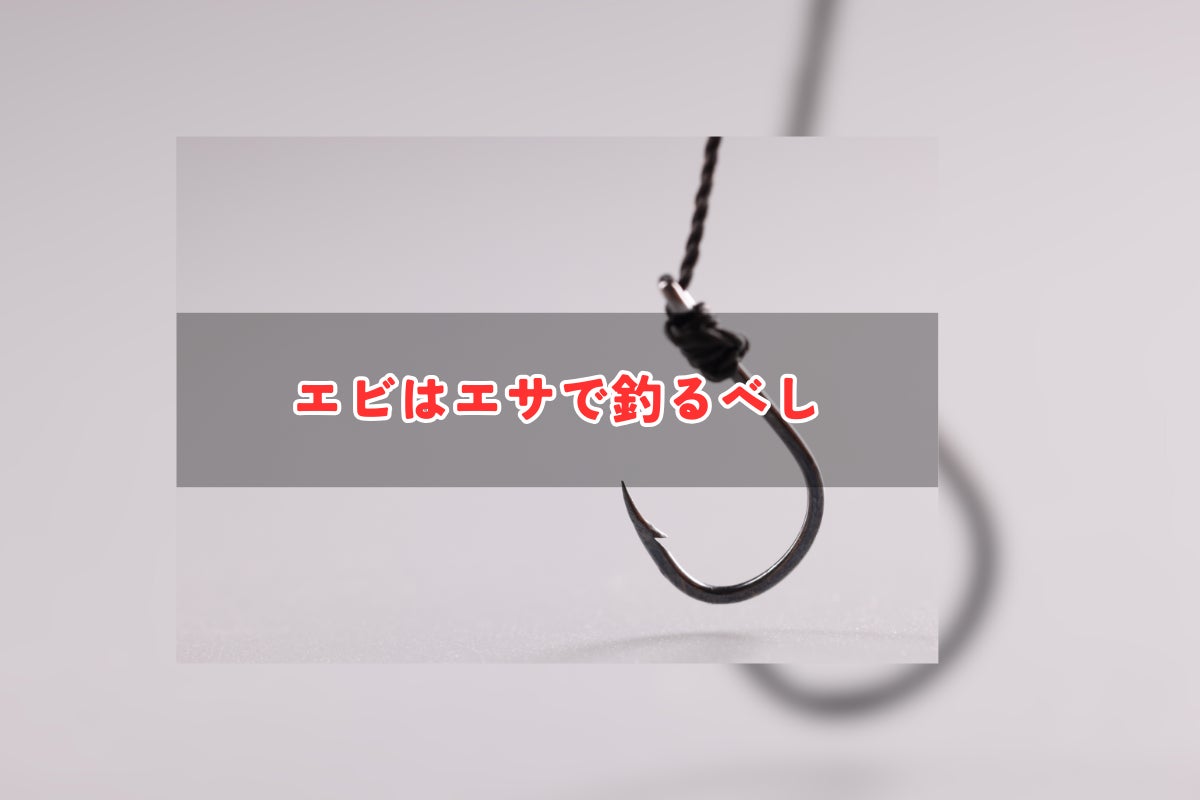 エビはエサで釣るべし - CAMPFIRE (キャンプファイヤー)