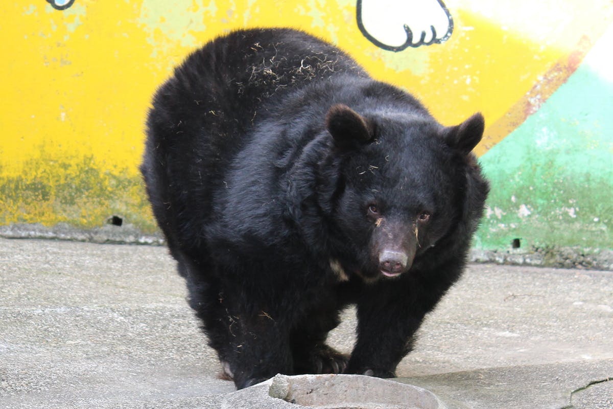 Benny0124.jpg?ixlib=rails-2.1.