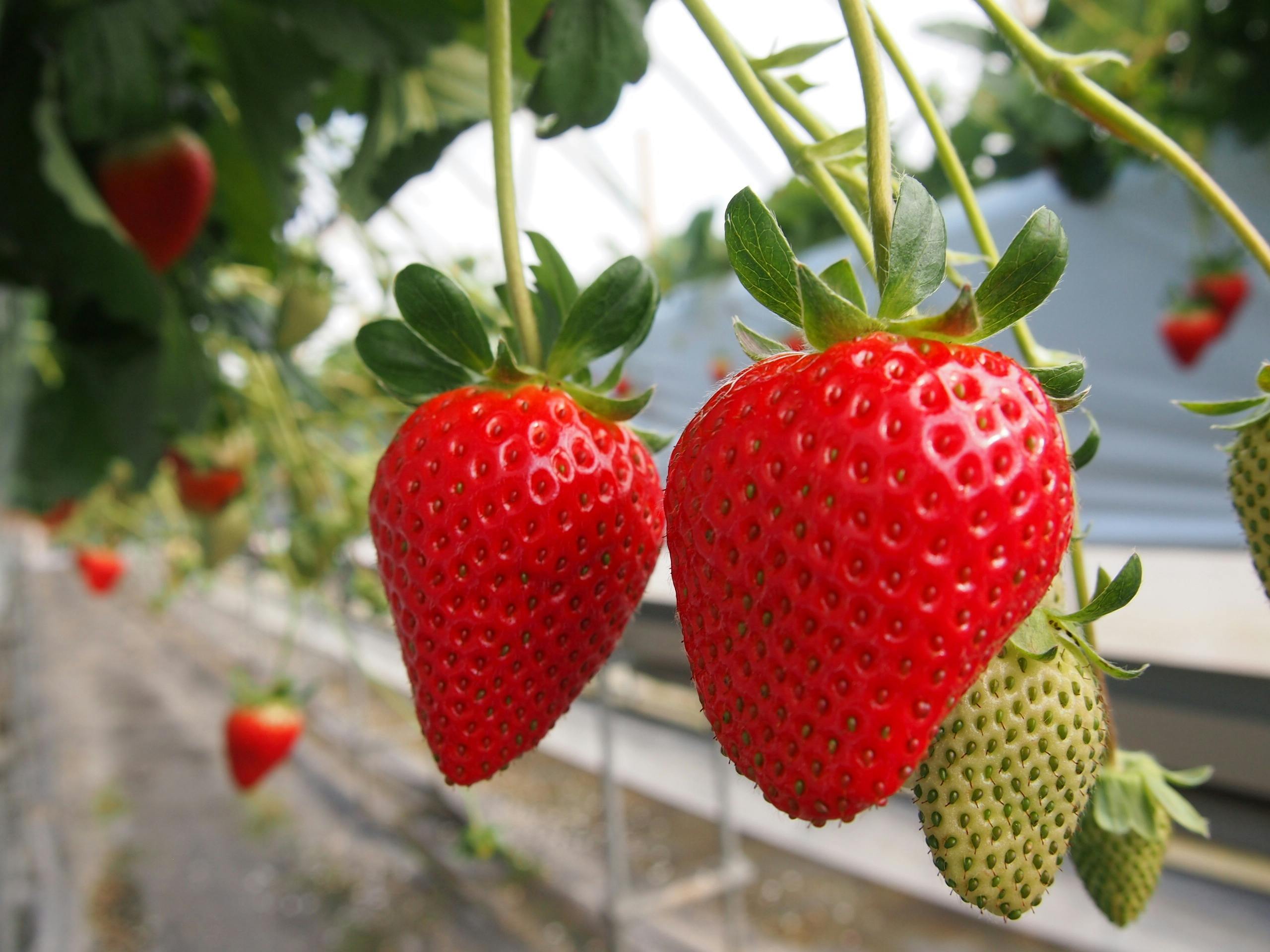 P1275215うたのハウス_.JPG?