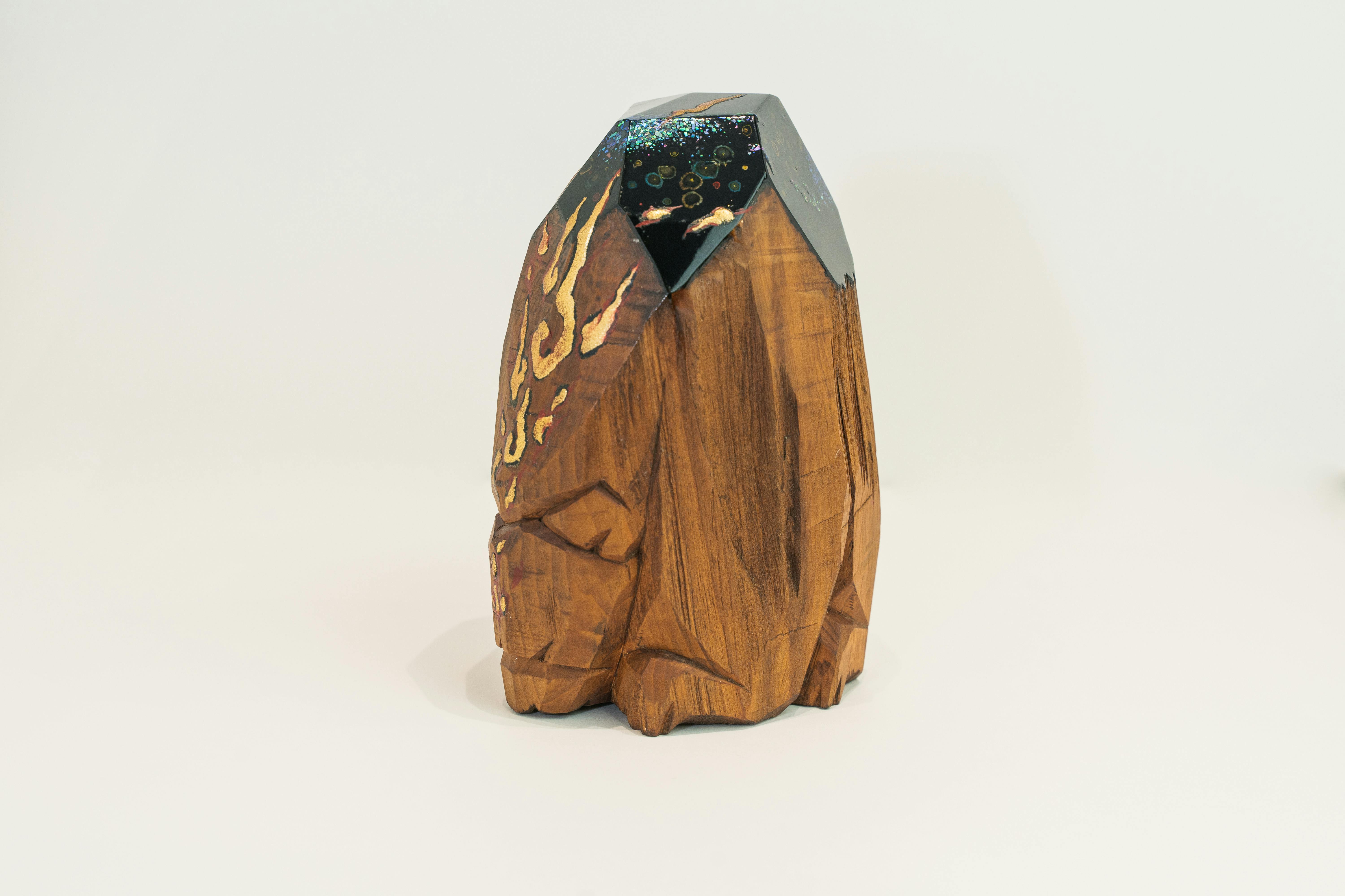 オーロラ-のご紹介 - CAMPFIRE (キャンプファイヤー)