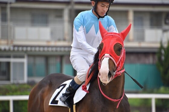 馬様 カサマツノライトオ号・種牡馬入り支援 150,000円 クラウドファン