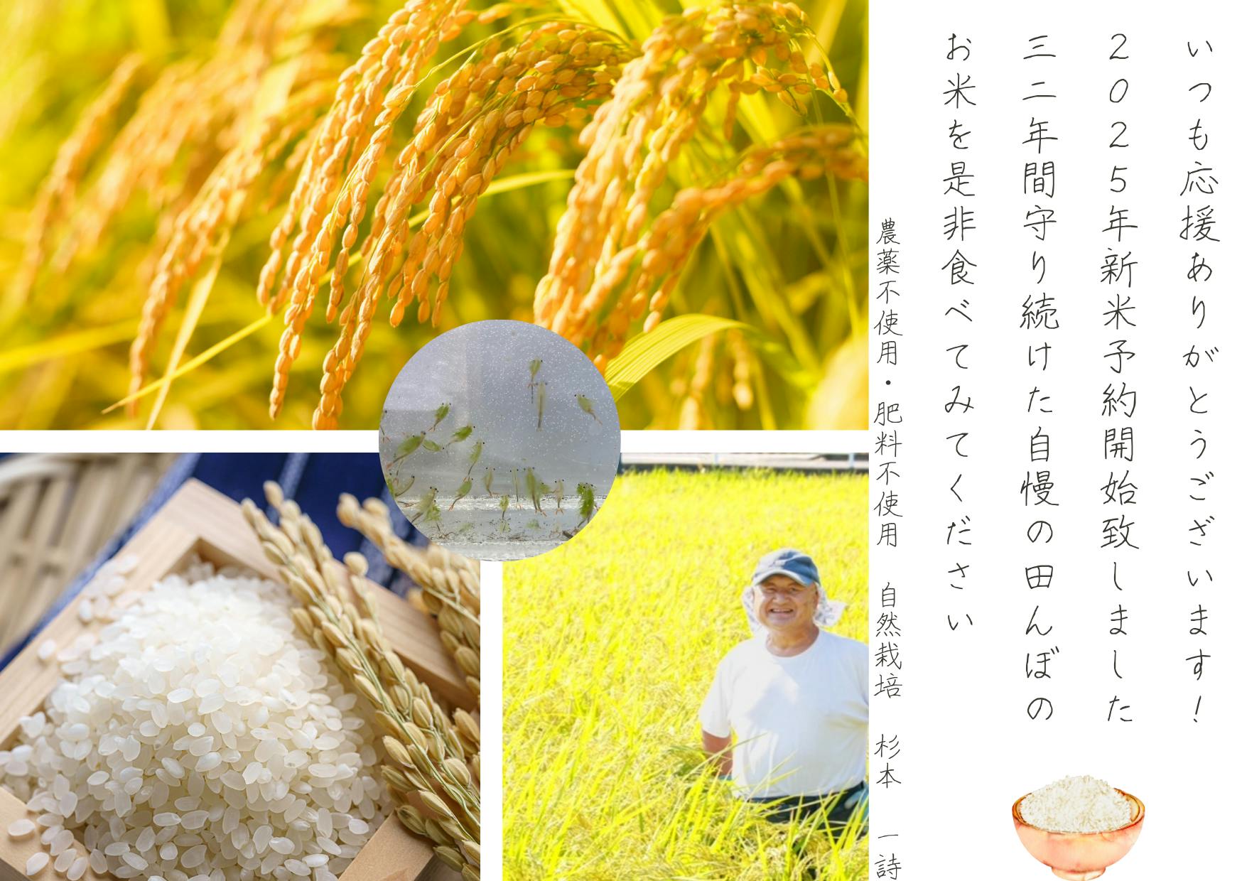 2021新米 自然栽培米 九州 福岡県産 自然栽培米 10kg 無農薬 無肥料 お米 令和５年度新米 20kg自然栽培米 農薬不使用 化学肥料