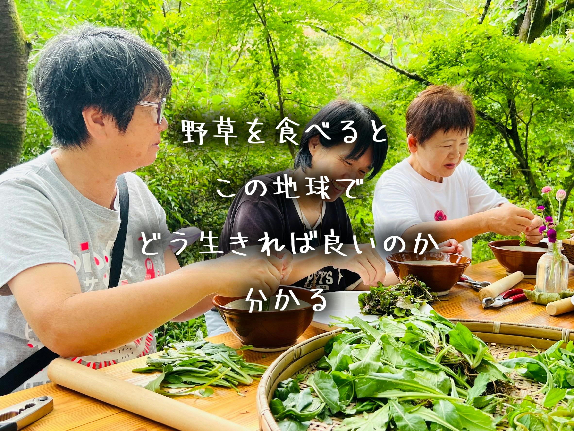 雑草を食べる天然水ページ 67FBDDD9-14D7-4365-B692-