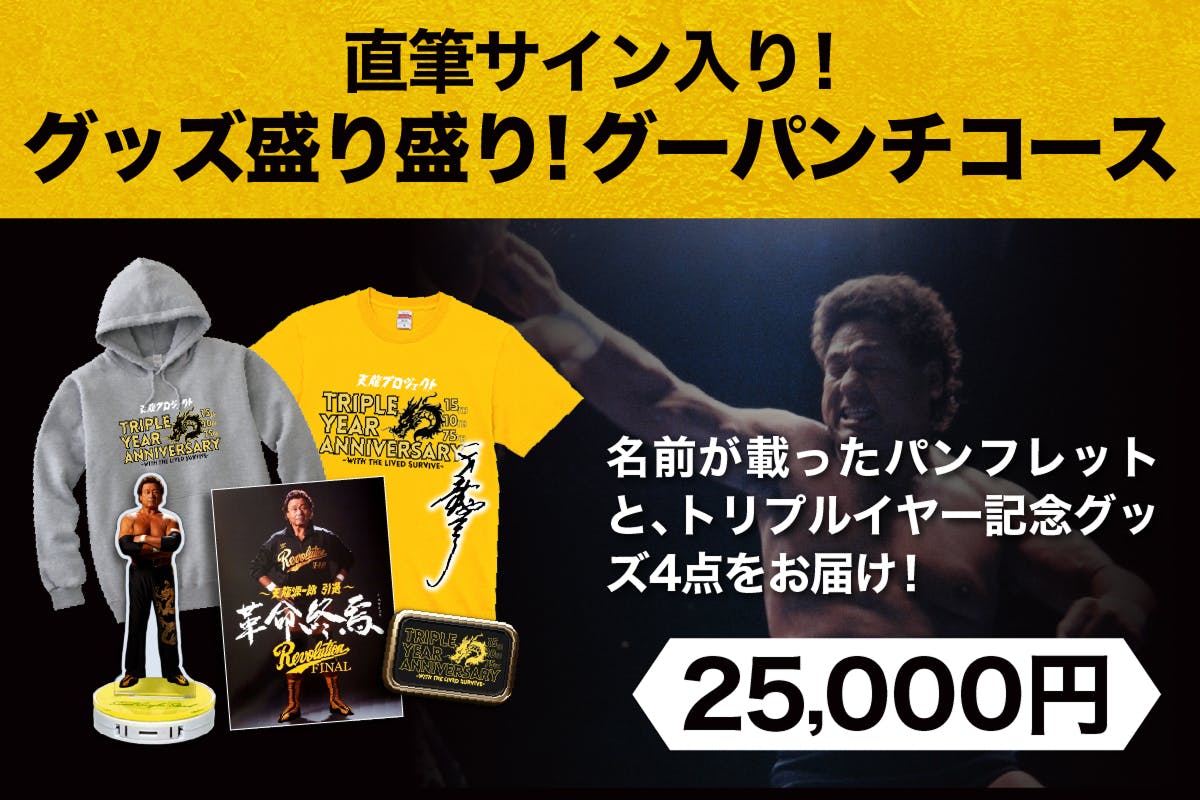 リターンのご紹介。“グーパンチ”級の豪華セット！トリプルイヤーを全身