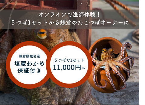 スマホでたこ漁！鎌倉の地だこがお家に届く！新サービス「たこつぼ 