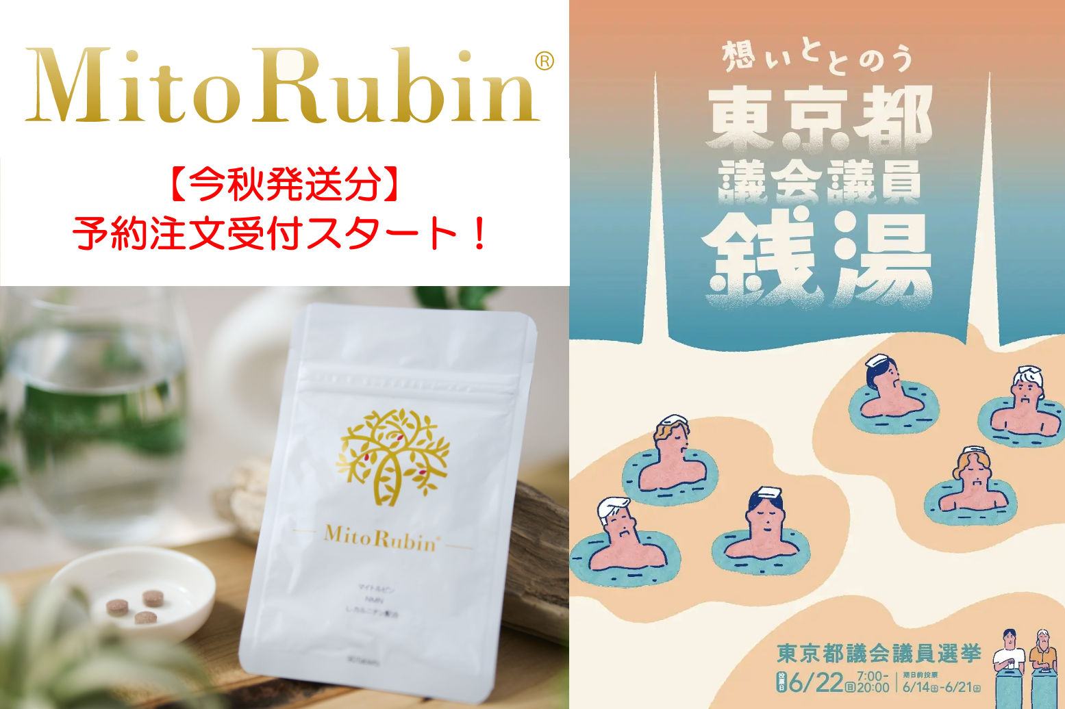 今秋発送分の予約スタート】マイトルビンサプリ一般販売へ進行中 