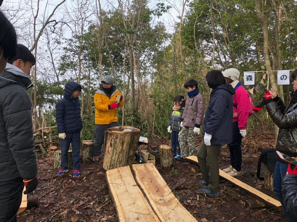 ふるさと納税 丹波篠山市 丹波篠山産間伐材使用 杉 (葉)(枝葉)の精油セット