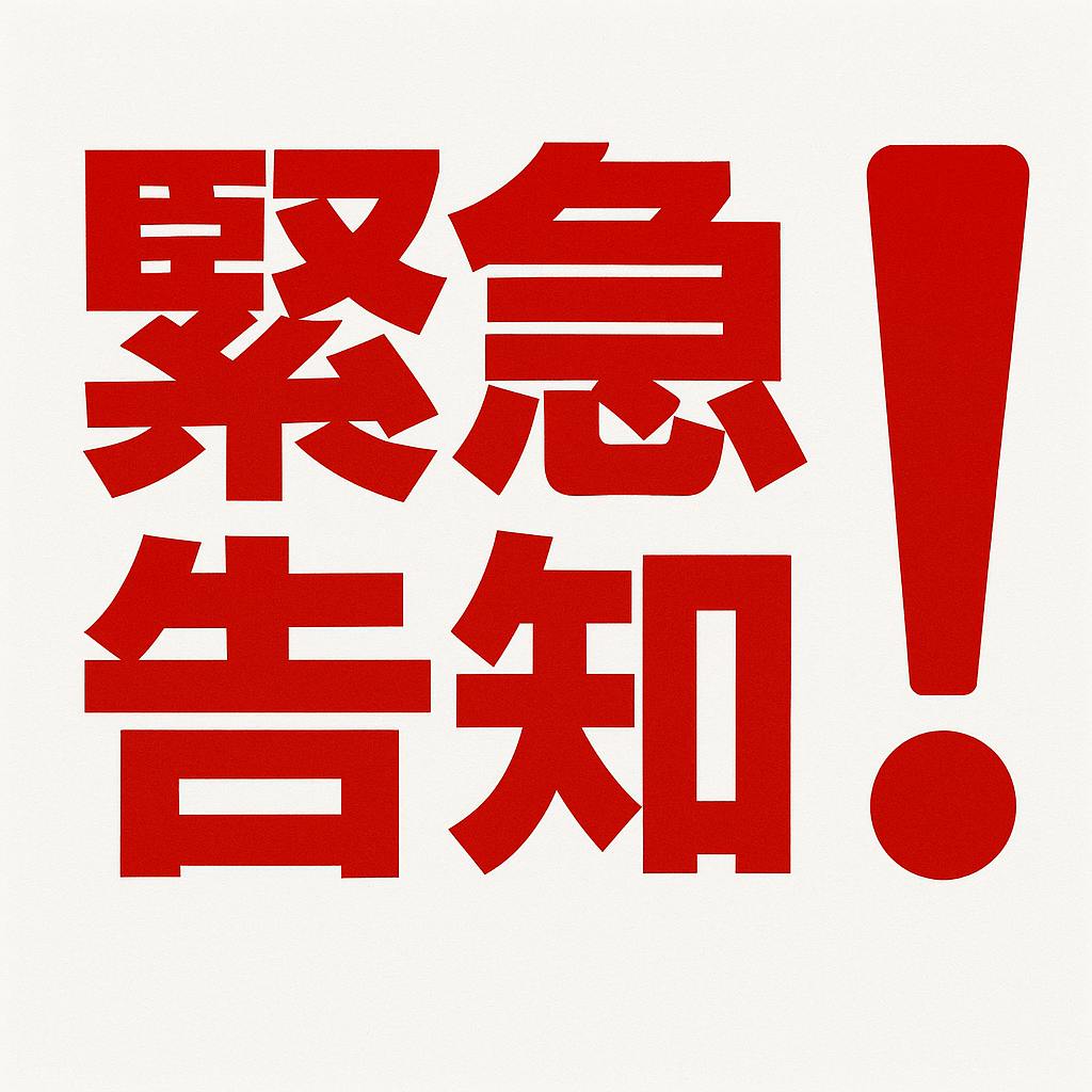 CREATORS SOFVI クリエイターズ ソフビ ネコパブリックムック中古