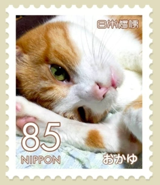神楽坂ねこの郵便局が作る「猫の切手の本」プロジェクト ！発売まで