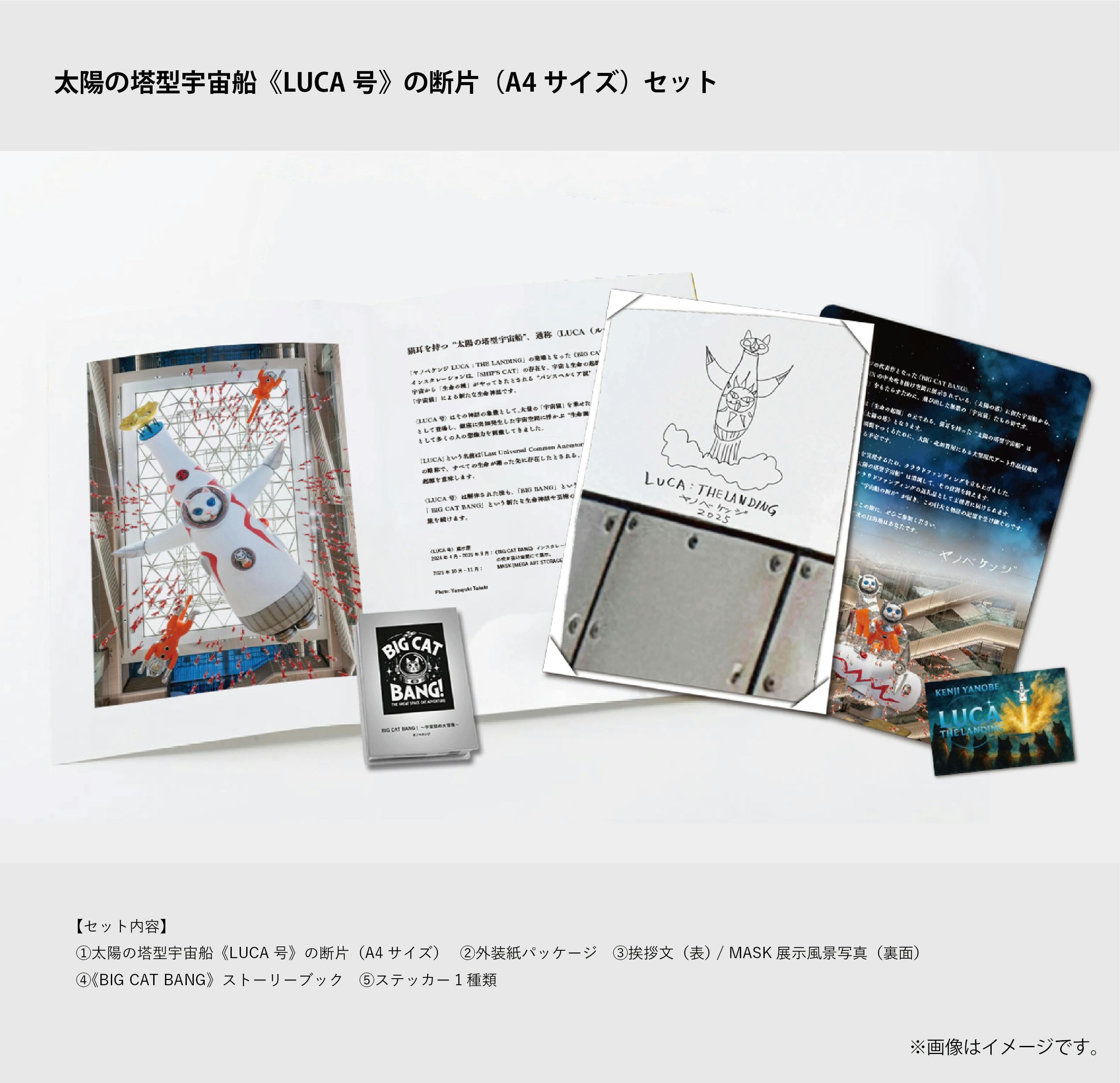 返礼品パッケージ詳細発表 - CAMPFIRE (キャンプファイヤー)
