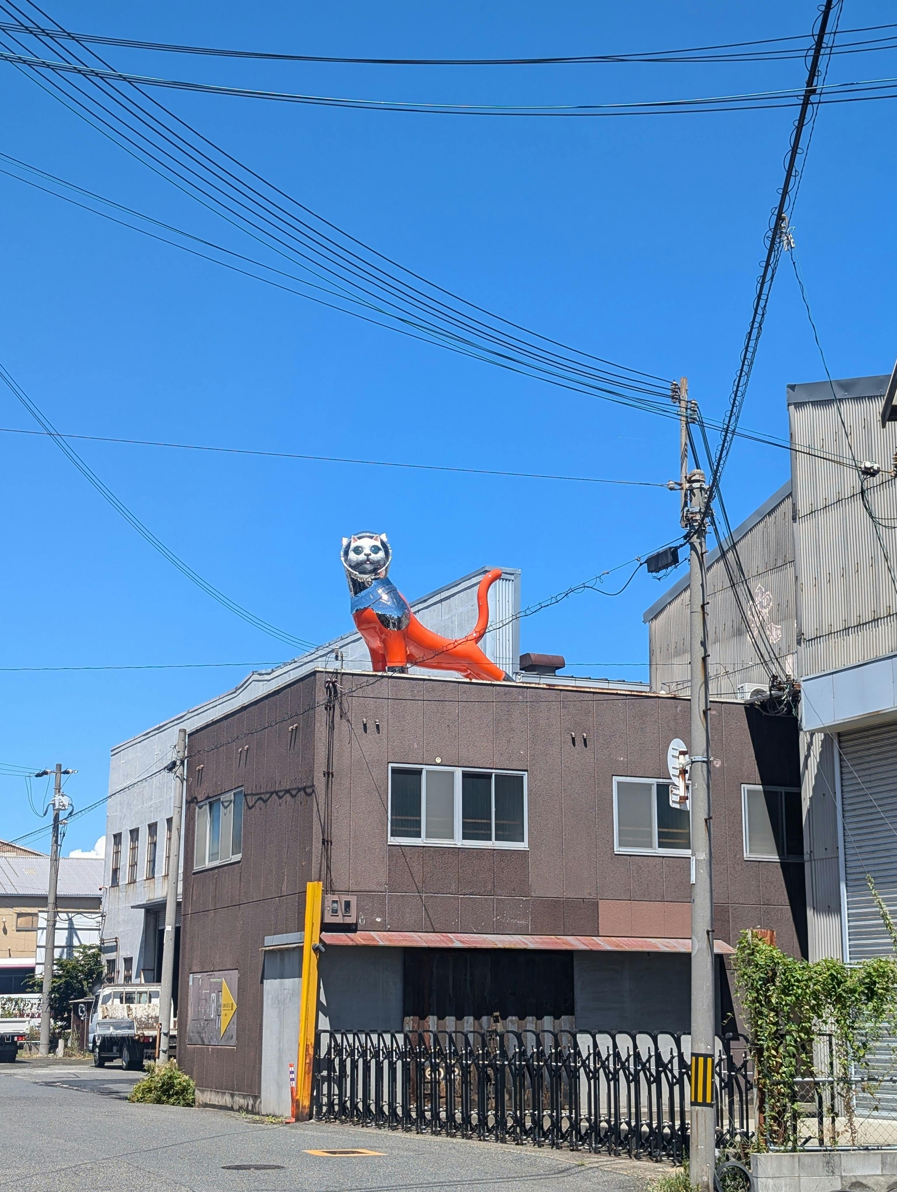 SHIP'S CAT (Hope)》展示 - CAMPFIRE (キャンプファイヤー)