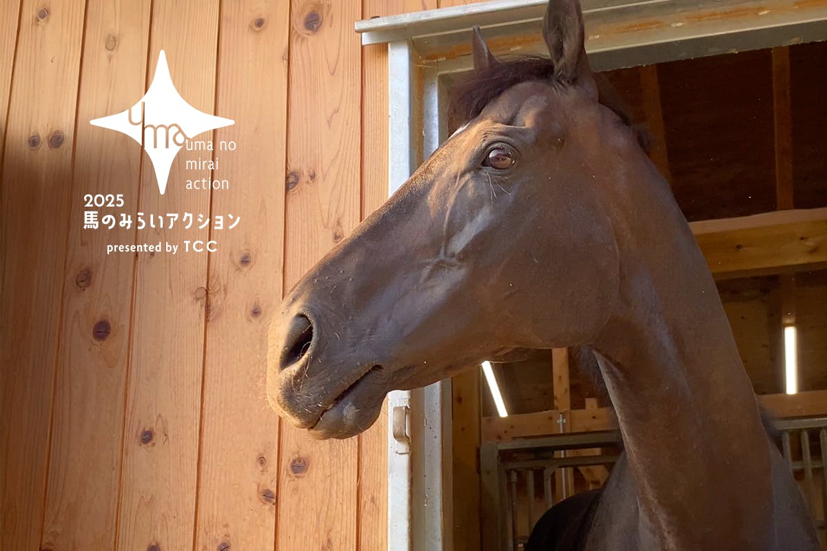 牧場ウマウマ ウマミラ2025」コンセプトムービー - CAMPFIRE (キャンプファイヤー)