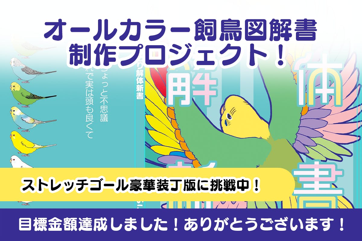 オールカラー飼い鳥図解解説本発行プロジェクト！ - CAMPFIRE