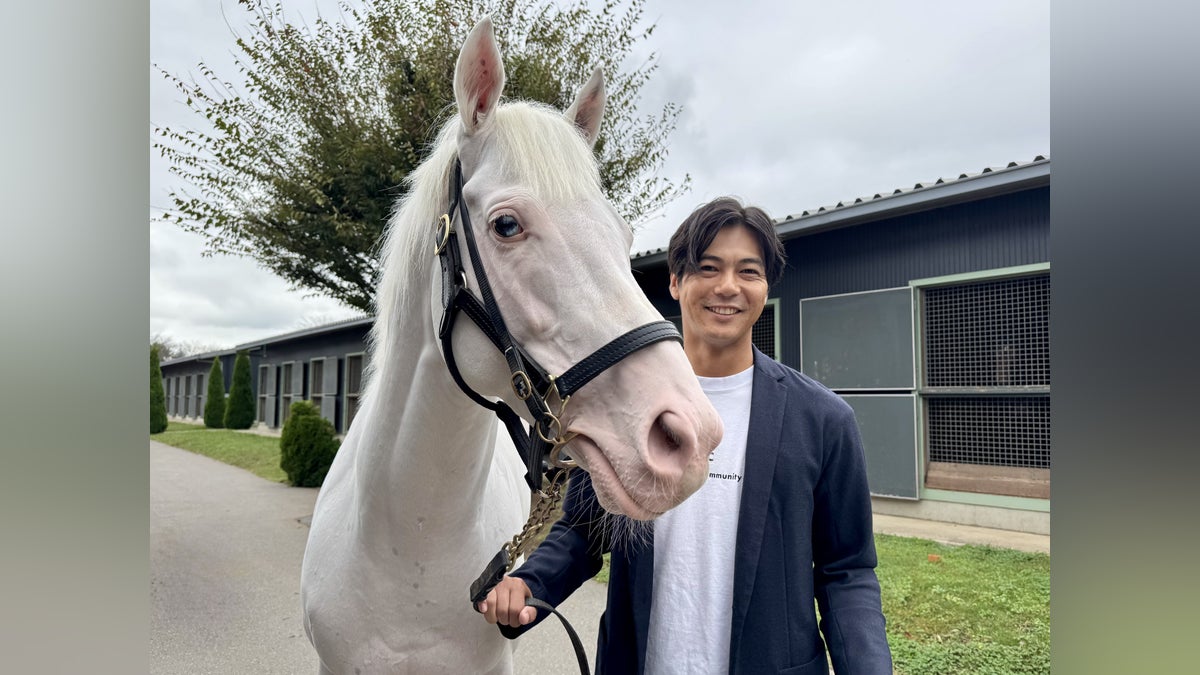 重大発表】 白毛の現役競走馬 アオラキが「TCC 広報大使」に就任!引退 重大発表】 白毛の現役競走馬 アオラキが「TCC 広報大使」に就任!引退