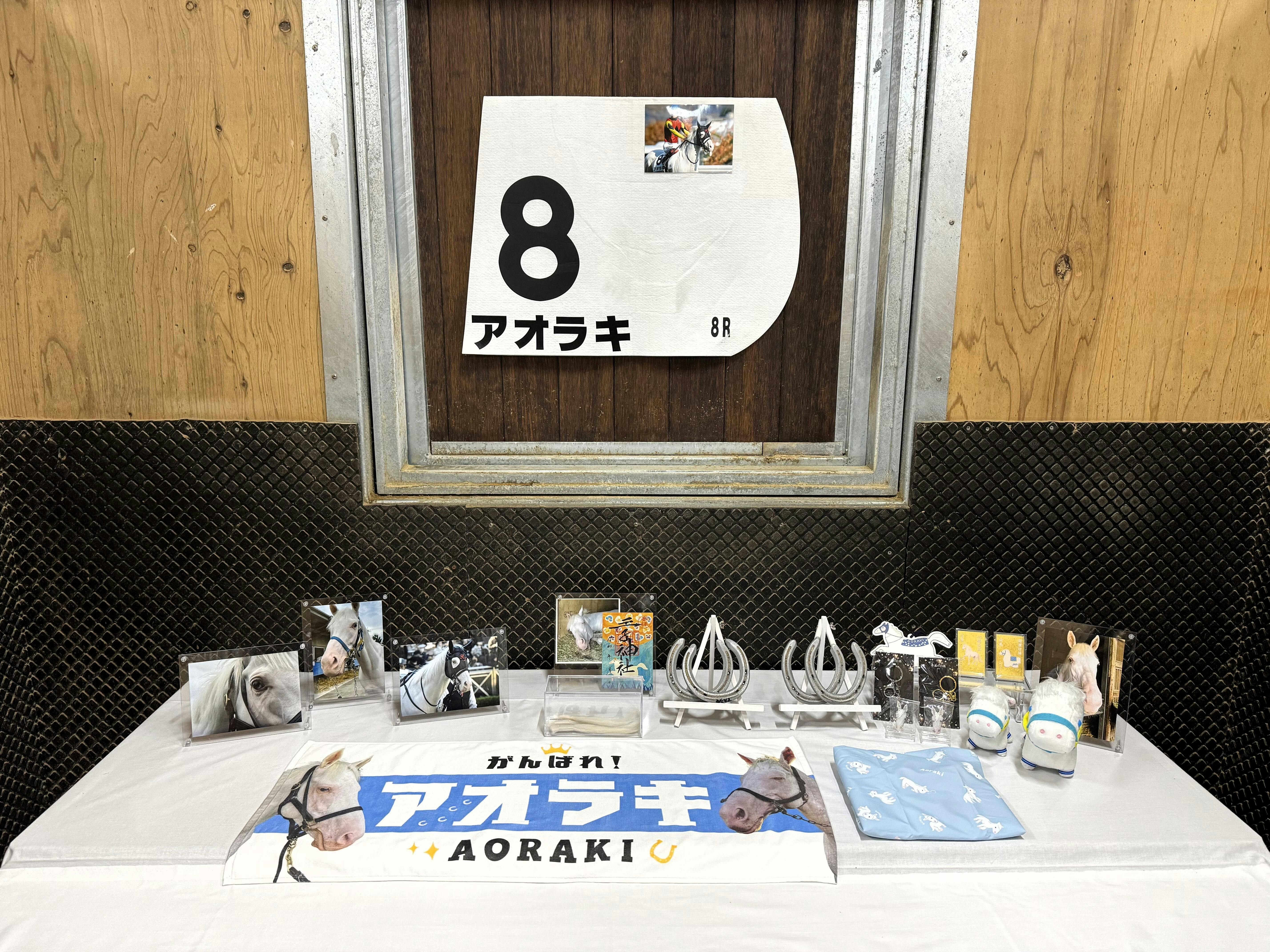 アオラキ サンクスカード&カレンダーセット 【期間限定】「TCC 広報